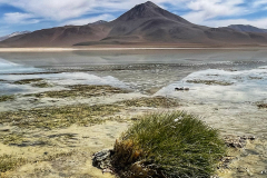 Bolivija - laguna Blanca
