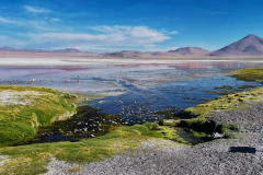 Bolivija - laguna Colorada