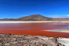 Bolivija - laguna Colorada