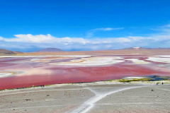 Bolivija - laguna Colorada