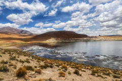 Bolivija-laguna Negra