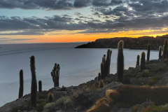Bolivija-Kaktusov otok