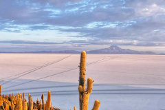 Bolivija - sončni vzhod v puščavi Uyuni