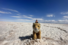 Bolivija-Uyuni in levček