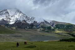 Čile - Torres del Paine- centralni sektor