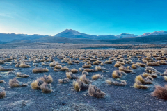 Čile - okolica gejzirjev