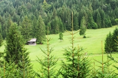 Dežela medveda - Loški Potok