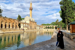 Jugovzhodna Turčija-Sanliurfa-jezero svetih krapov