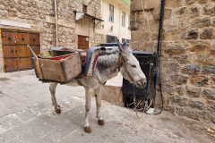 Jugovzhodna Turčija-Mardin-mestna snaga
