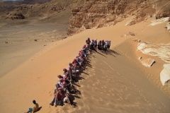 Sinaj-veličastnost sinajske puščave