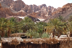 Sinaj-oaza Ain-Hudra