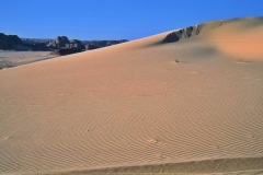 Sinaj-puščavska negibna veličastnost