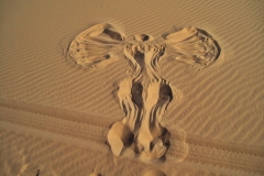 Sinaj-nepozabnost potovanja Od Faraonov do Beduinov