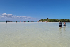 Holbox-Isla Pasion