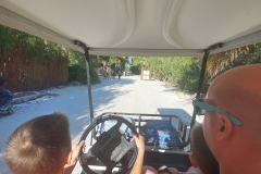 Holbox-vožnja z golf avti