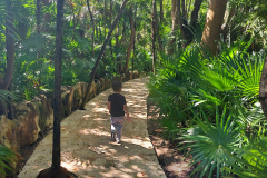 Park Xcaret-pot skozi džunglo