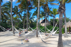 Park Xcaret-viseče mreže