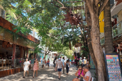 Playa del Carmen-Quenita Avenida