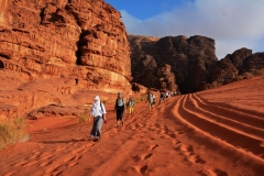 06-Rozna-puscava-Wadi-Rum