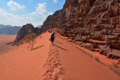 14-Jordanija-Rozna-puscava-Wadi-Rum
