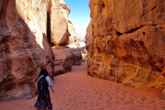 Rožna puščava Rum-vstop v kanjon