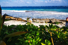 Tulum-plaža in koralni greben