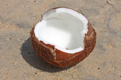 Kokos je pravi za osvežitev