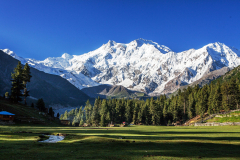 Fairy Meadows-Pakistan