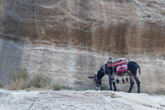 Jordanija - beduinsko prevozno sredstvo