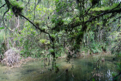 Življenje kipi v gorovju Escambrey