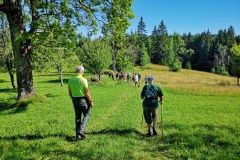 Dežela-medveda-08-07-2020-1