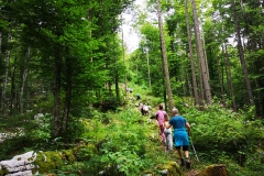 Dežela-medveda-08-07-2020-15