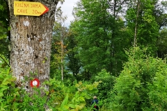 Dežela-medveda-08-07-2020-18