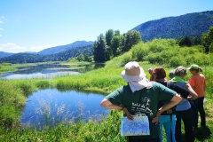 Dežela-medveda-08-07-2020-24