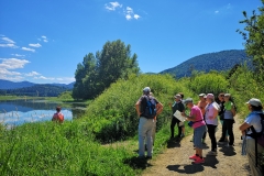 Dežela-medveda-08-07-2020-25