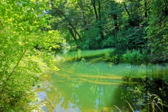 Dežela-medveda-08-07-2020-26