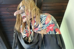 Dežela-medveda-08-07-2020-27