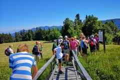 Dežela-medveda-08-07-2020-3