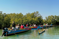 Morondava izlet s pirogami
