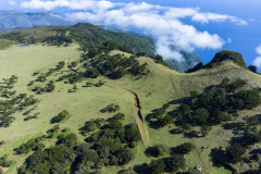 Madeira-Fanal