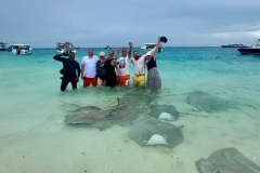 Maldivi -opazovanje morskih bičev – prava osvežitev na vročih dneh ob morju.