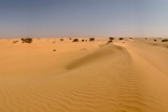 Mavretanija-puščava