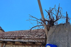 Turčija-turški GENIJ-poglejte nabiralnik