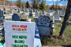Turčija-turški GENIJ-pokličite in pridem ven