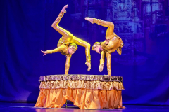 Tradicionalna predstava