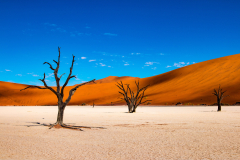 Namibija-Mrtva-dolina