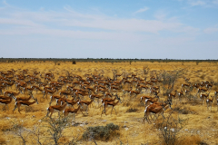 Namibija, Botsvana in Viktorijini slapovi