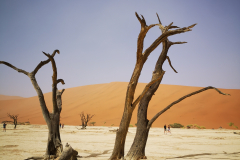 Namibija, Botsvana in Viktorijini slapovi