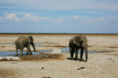 Namibija, Botsvana in Viktorijini slapovi