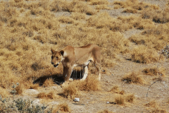Namibija, Botsvana in Viktorijini slapovi